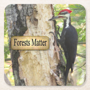Pileated Woodpecker Ecology Underlägg set Papper Kvadrat