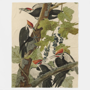 Pileated Woodpecker från Audubon Birds of America Fleecefilt