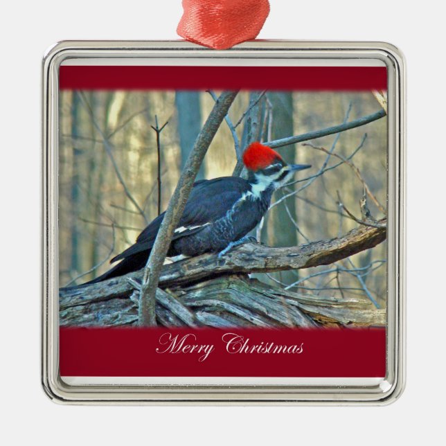 Pileated Woodpecker God jul Ornament (Framsidan)