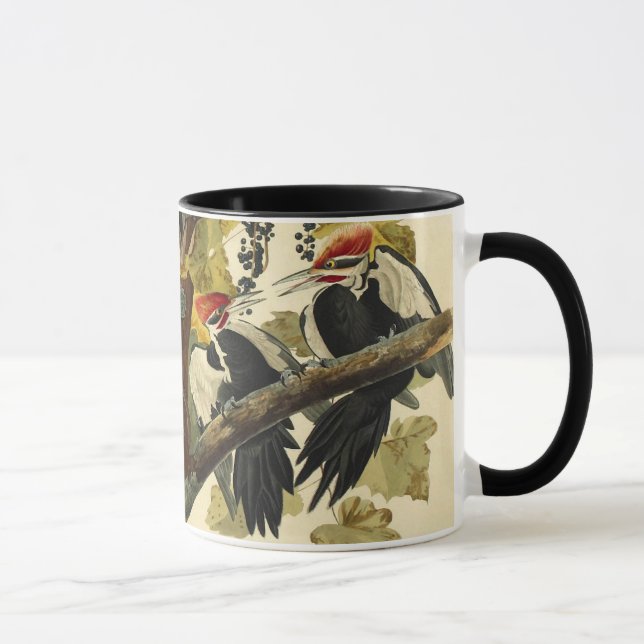 Pileated Woodpecker, John James Audubon Mugg (Höger)