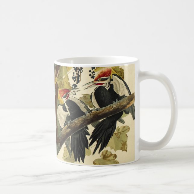 Pileated Woodpecker, John James Audubon Mugg (Höger)