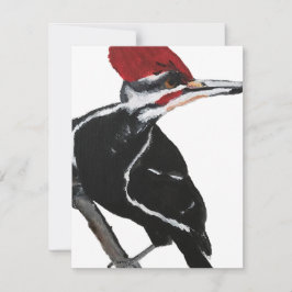 Pileated Woodpecker Julkort