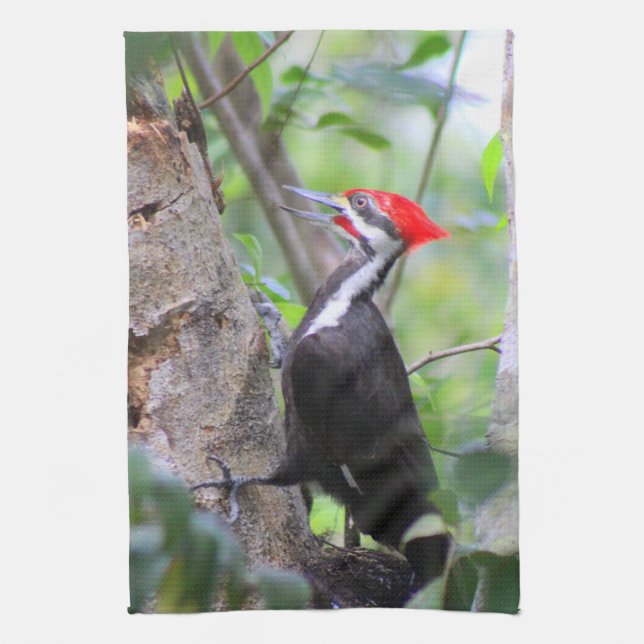 Pileated Woodpecker Kitchen Towel Dish Towel Towel Kökshandduk (Vertikal)