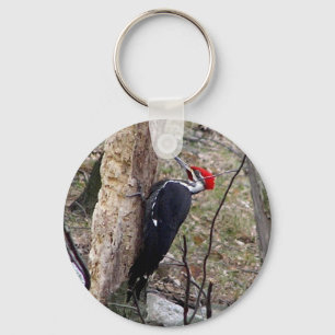 Pileated Woodpecker Nyckelring