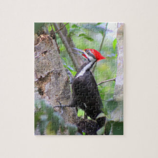 Pileated Woodpecker Puzzle Pussel
