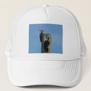 Pileated Woodpecker Truckerkeps