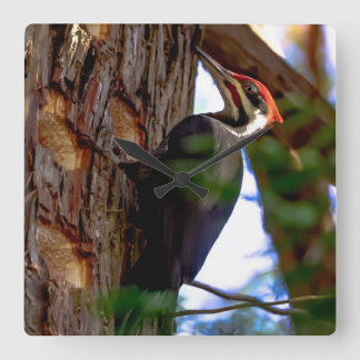 Pileed Woodpecker Fyrkantig Klocka