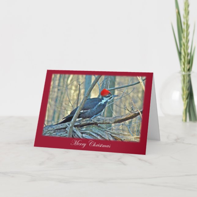 Pileed Woodpecker God jul-artiklar Helgkort (Framsida)