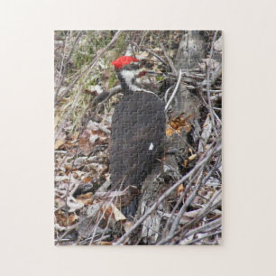 Pileed Woodpecker Puzza Pussel