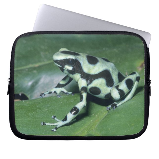 Pilgiftsgroda, (Dendrobates auratus) Cahuita Laptop Fodral (Framsidan)