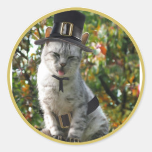 Pilgrim Cat Runt Klistermärke