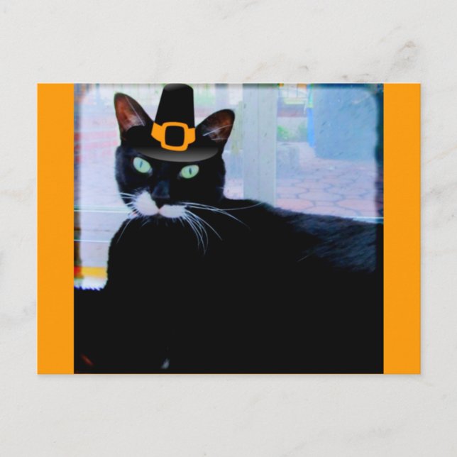 Pilgrim Lucy Vykort (Framsida)