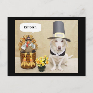 Pilgrim Myrtie Vykort