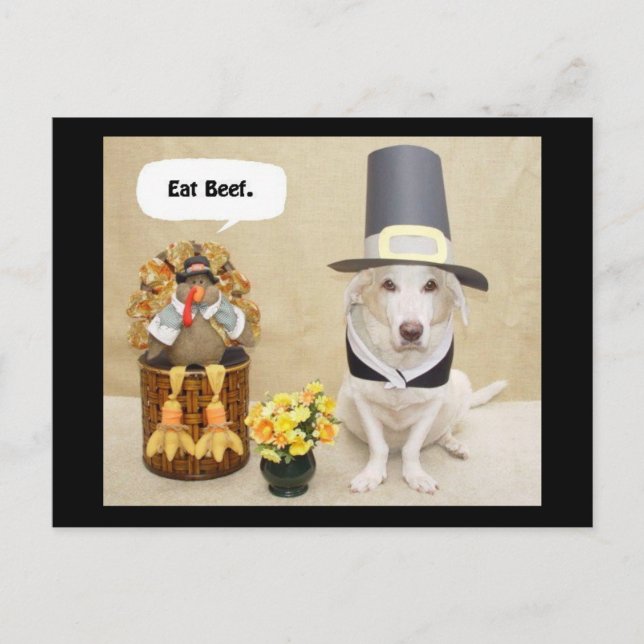 Pilgrim Myrtie Vykort (Framsida)