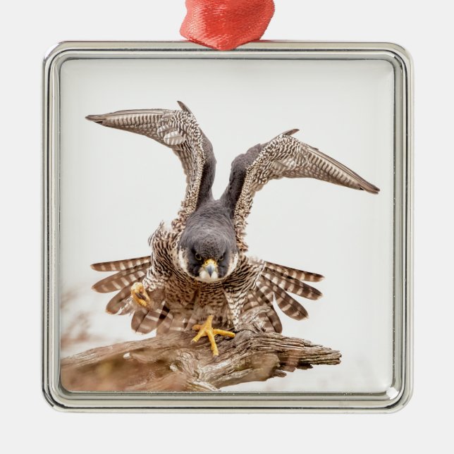 Pilgrimsfalk Julgransprydnad Metall (Framsidan)