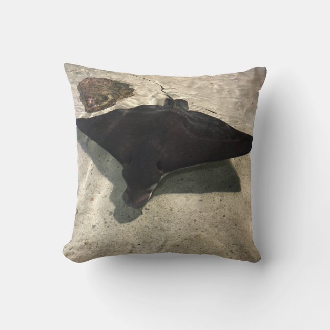 Pilgrocka Kudde (Framsida)