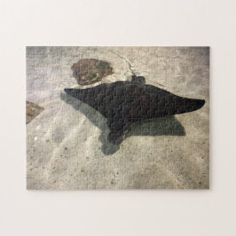 Pilgrocka Pussel