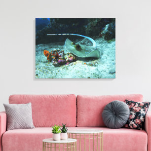 Pilgrocke i rörelse - Foto taget vid Coral Triangl Canvastryck