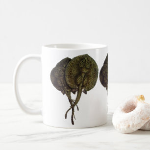 Pilgrockor Pilgrockor, Vintage Marinliv Djur Kaffemugg