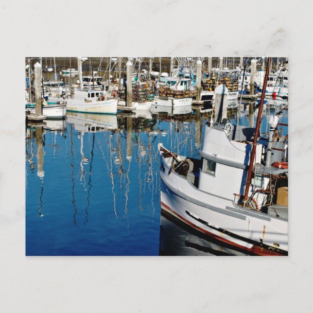 Pillar Point Harbour Vykort (Framsida)