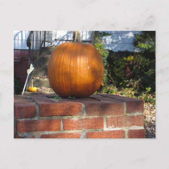 Pillar Pumpkin Vykort (Framsida)