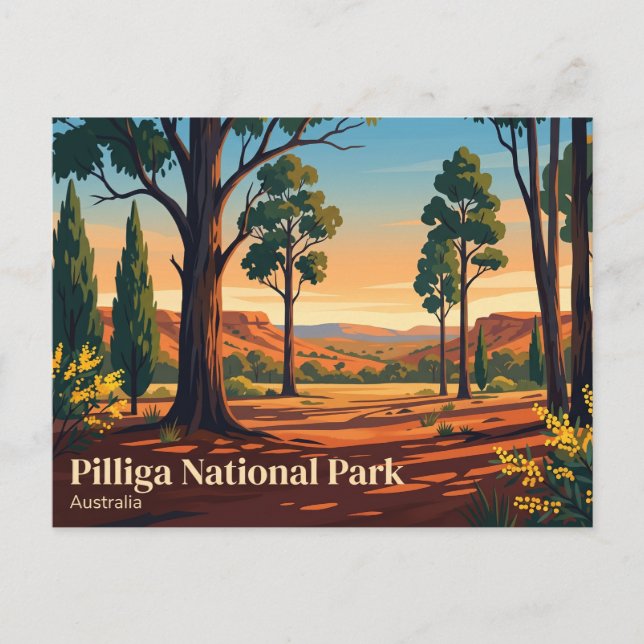 Pilliga Nationalpark Australien Vykort (Framsida)