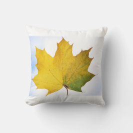 Pilling för varje rum kudde