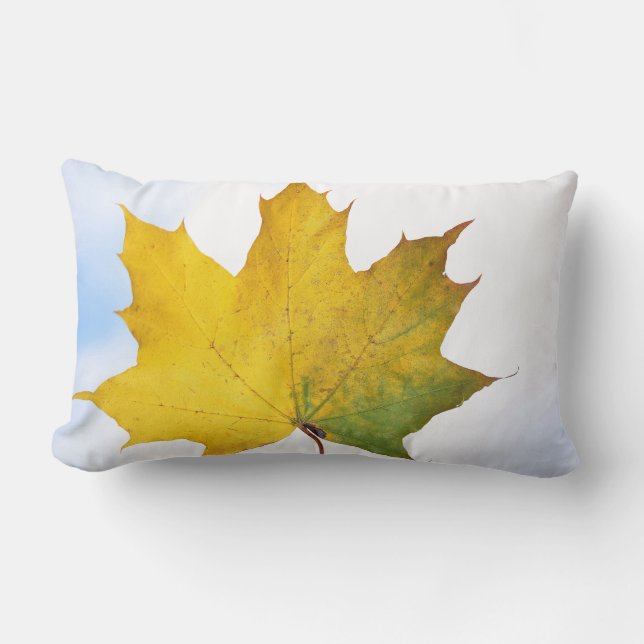 Pilling för varje rum lumbarkudde (Framsida)