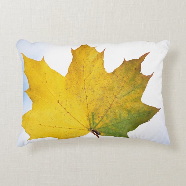 Pilling för varje rum prydnadskudde (Framsidan)