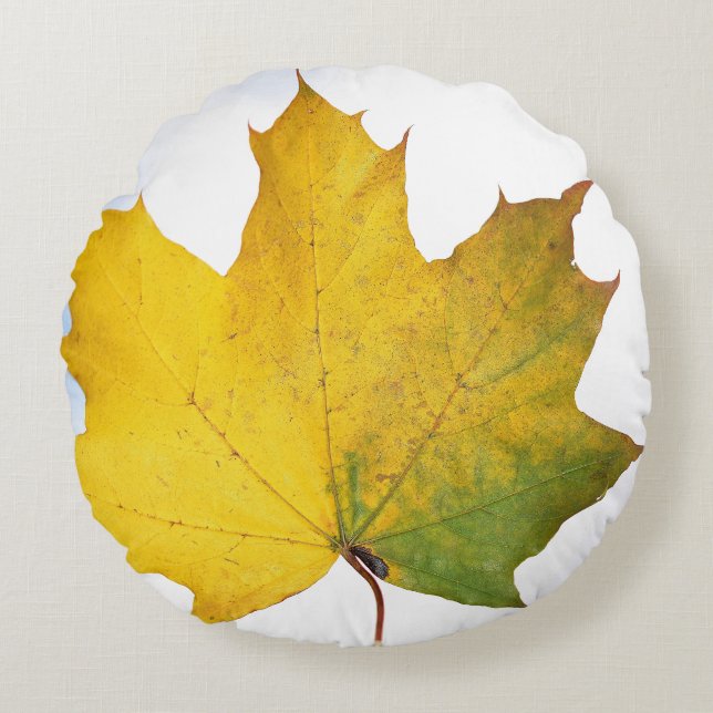 Pilling för varje rum rund kudde (Framsidan)