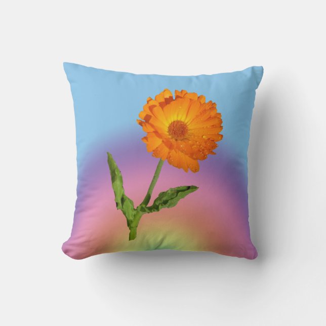 Pillow - Calendula och Regnbåge Kudde (Framsida)