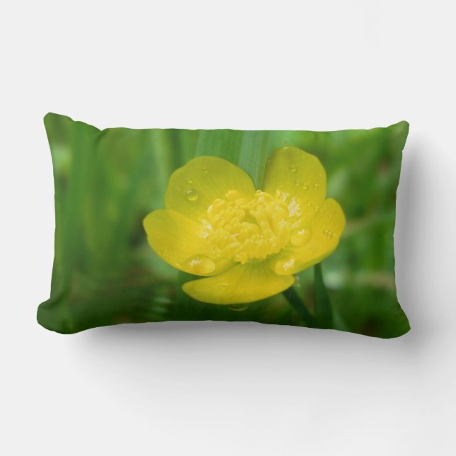 Pillow för appalachian Butterskopa Lumbarkudde (Framsida)