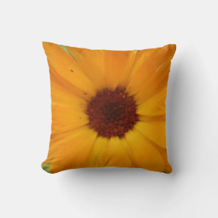 Pillow för Daisy för radbyte Kudde