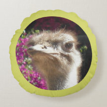 Pillow för den sydafrikanska strutsrundan Ansikte