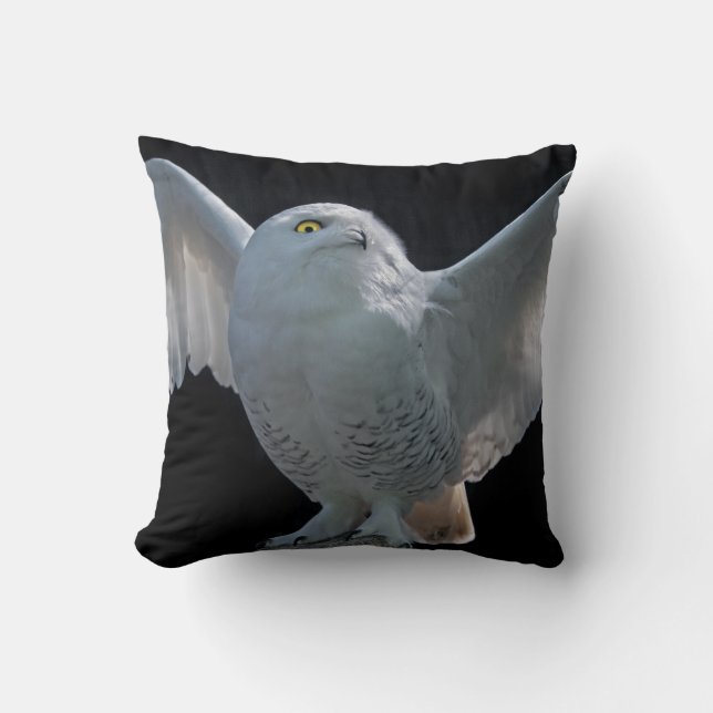 Pillow för flygcheck kudde (Framsida)