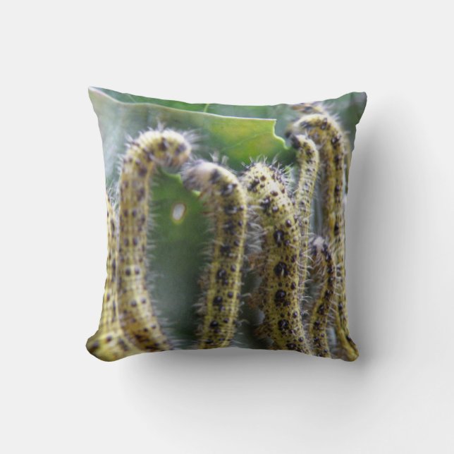 Pillow för hungriga kålspartier kudde (Framsida)