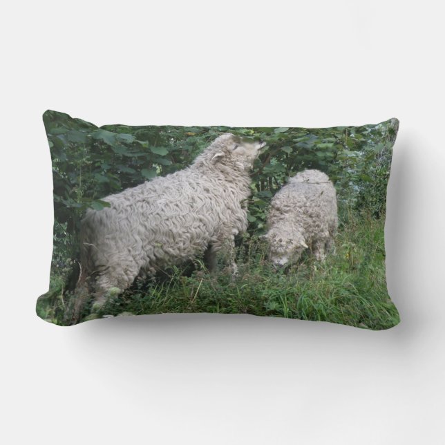 Pillow för Löv av matning av kutym får Lumbarkudde (Framsida)