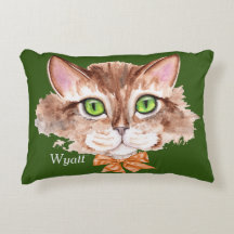 Pillow for Pojke Room with Cat