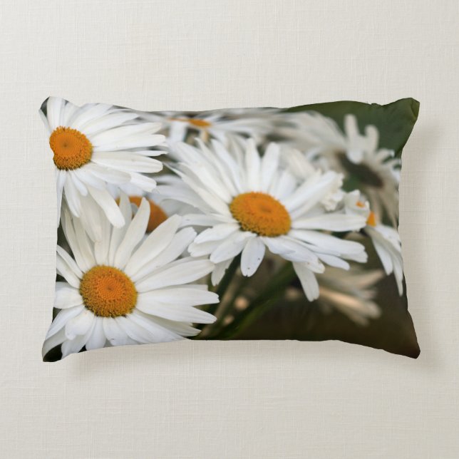 Pillow för sommarkontur Daisy Prydnadskudde (Framsidan)