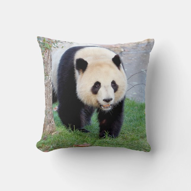 Pillow fotojättepanda 5. dekorativ kudde (Framsida)