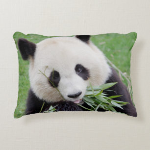 Pillow-fotojättepanda. Prydnadskudde
