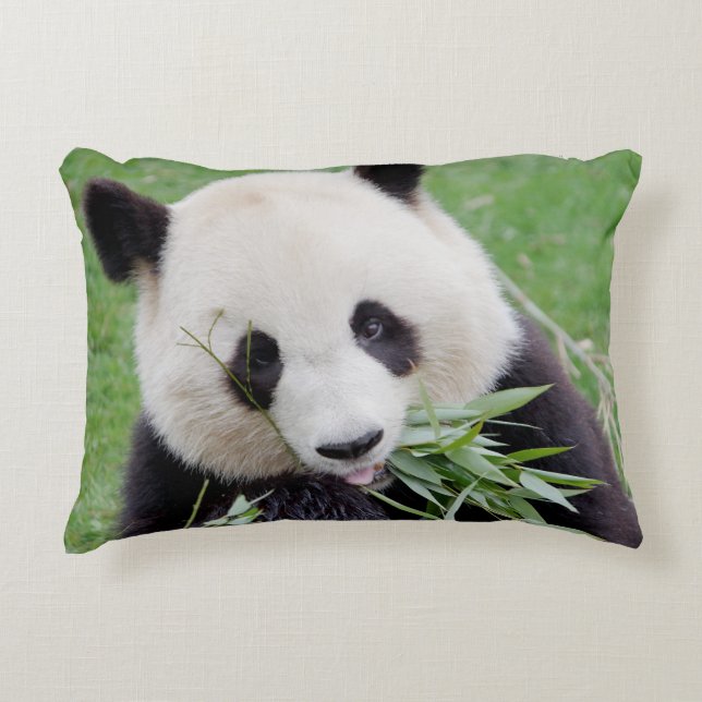 Pillow-fotojättepanda. Prydnadskudde (Framsidan)