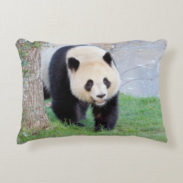 Pillow-fotojättepanda. Prydnadskudde (Framsidan)