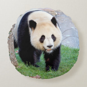Pillow-fotojättepanda. Rund Kudde