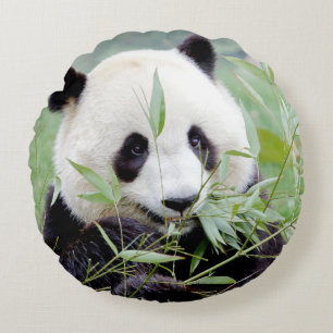 Pillow-fotojättepanda. Rund Kudde