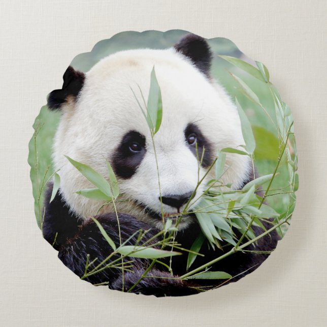 Pillow-fotojättepanda. Rund Kudde (Framsidan)