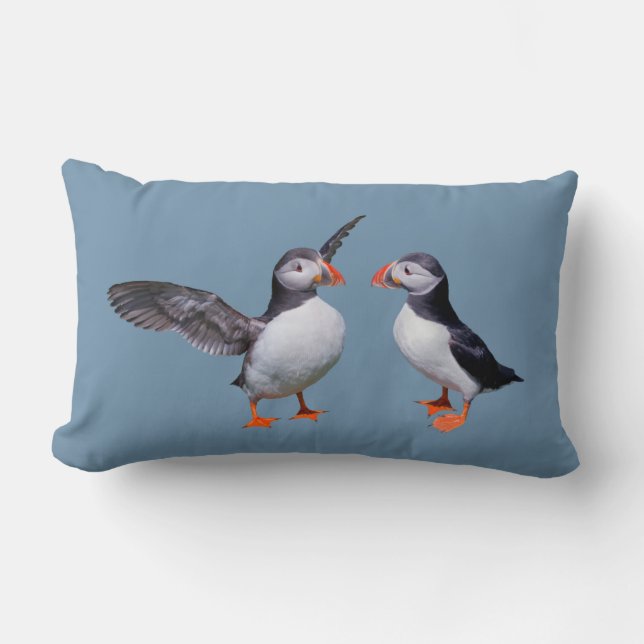 Pillow-fyllning (Himlar Blue) Lumbarkudde (Framsida)