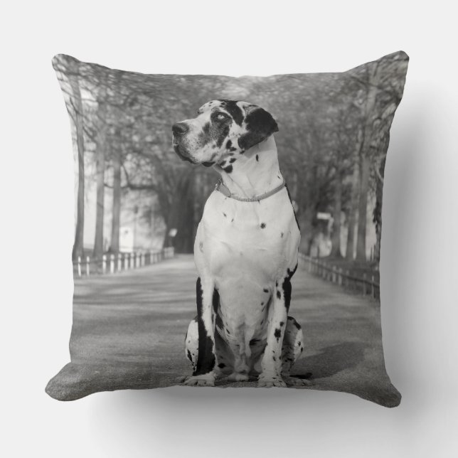 Pillow Great dane Kudde (Framsida)