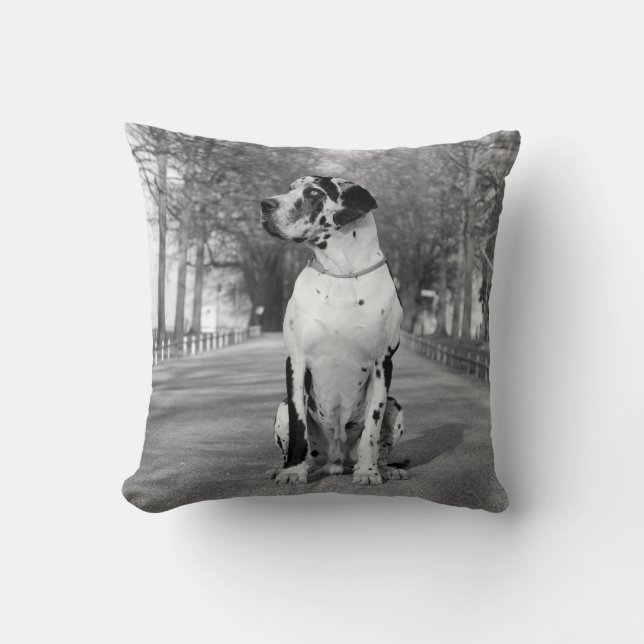 Pillow Great dane Kudde (Framsida)