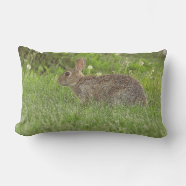 Pillow: Life Gentleness Lumbarkudde (Framsida)